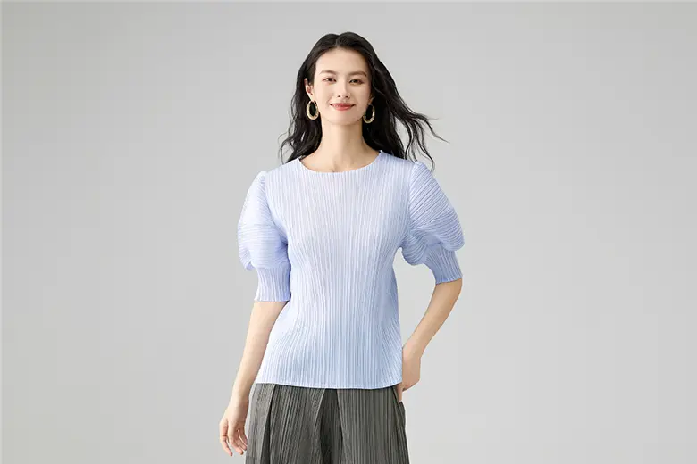 Elegant Pleated Puff Sleeve Blouse